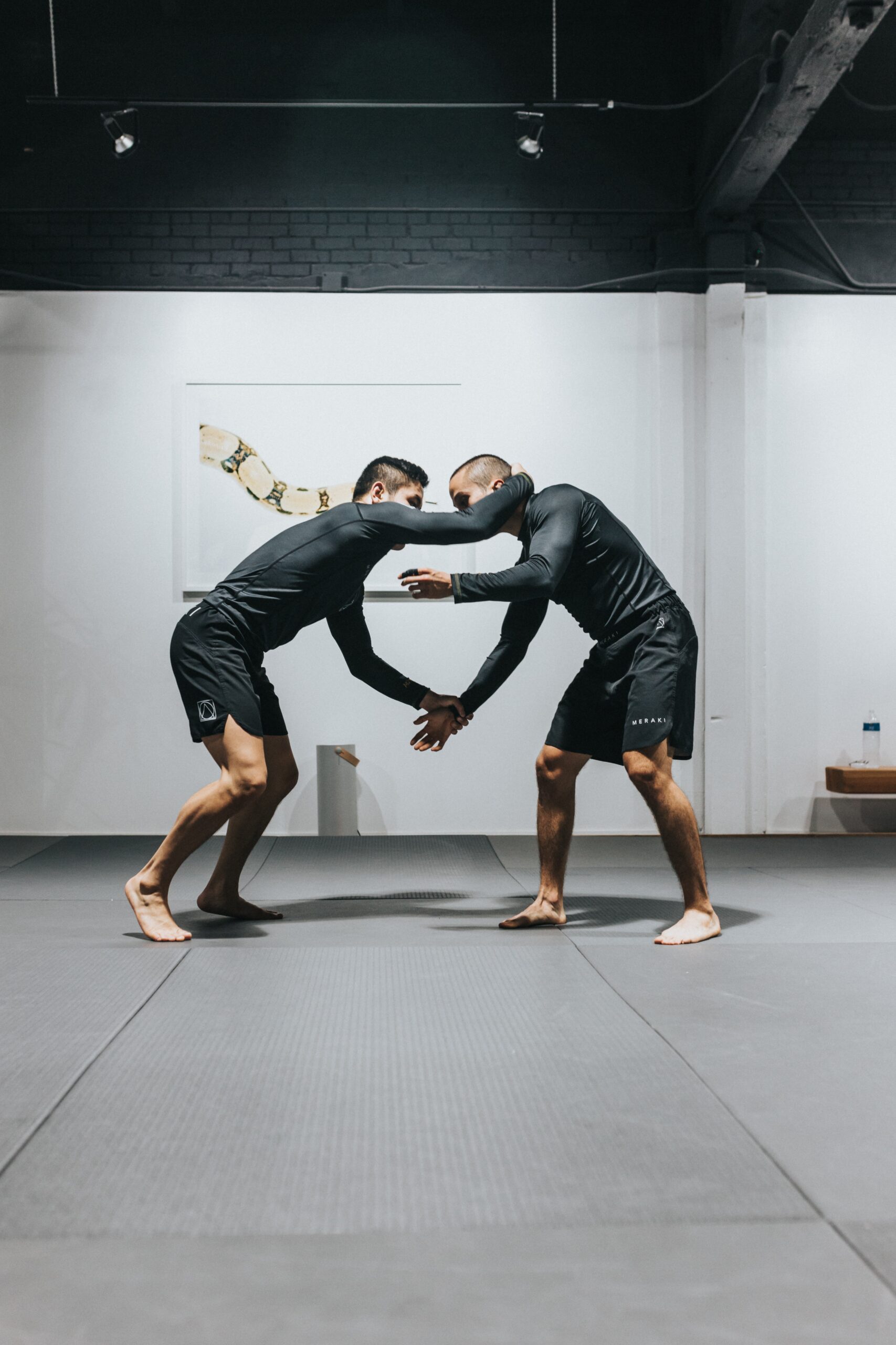 Build Your Own Martial Arts StudioFor Practice at Home